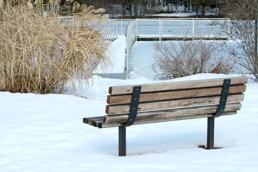 A Lonely park bench in winter
