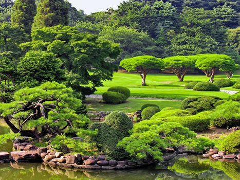 beautiful japanese green park in summer time