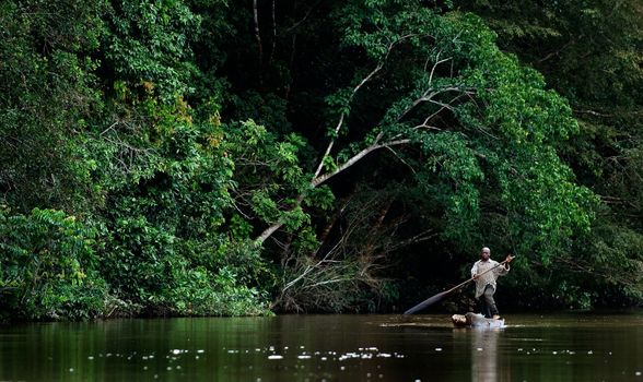 SANGHA RIVER, CENTRAL AFRICA, JUNGLE BETWEEN CAMEROON AND CENTRAL AFRICAN REPUBLIC, 01 NOVEMBER 2008: The local resident floats in the hollowed wooden boat down the river. The Sangha River, a river in central Africa, is a tributary of the Congo River. November 2008.