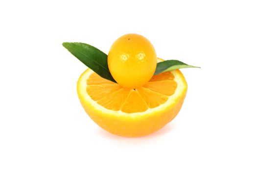 kumquat midget orange on halved orange isolated on white