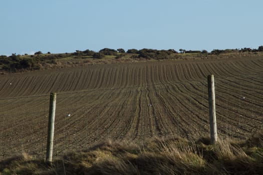 Agricultural land, a field with plough lines and furrows from a fence into the distance with a blue sky.