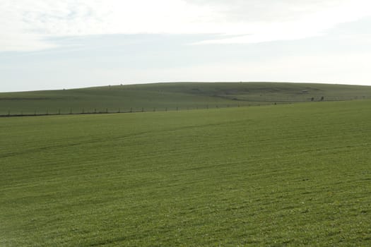 Agricultural pasture land, green fields with a fence leading into the distance with a cloudy sky.