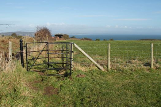 Kissing gate with hedge and fence, public right of way, across agricultural land with green grass, looking towards the sea and sky in the distance.