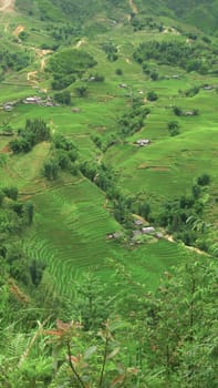 Mountains ner Sa Pa, Vietnam