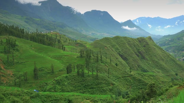 Mountains ner Sa Pa, Vietnam