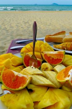 Snack of fruit and sandwich by the sea