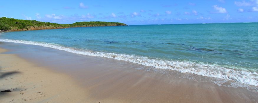 The wonderful Seven Seas Beach near Fajardo in Puerto Rico.