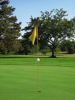 A photograph of a golf course in the afternoon.