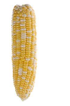 Isolated image of pearl corn against a completely white backgriound.