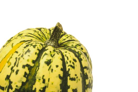 green and yellow ornamental squash isolated over alight background