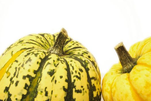 green and yellow ornamental squashes isolated over alight background