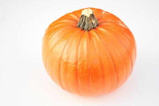 large pumpkin against a light background