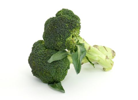 A couple stocks of broccoli on white background.
