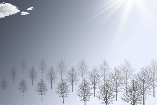 Abstract background of winter fog weather .
