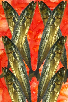 Mackerel of smoked 8 features, very tasty and fragrant on fresh tomatoes