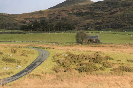 A narrow tarmac road winds towards a derelict abandonned house in a rural setting.