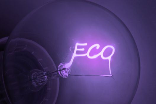 Close up on illuminated purple light bulb filament spelling the word "Eco".