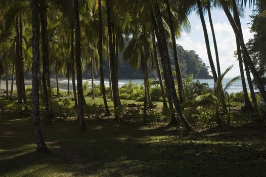 Location: Playa Ventanas, near Ojochal. South Costa Rica. Central America.
