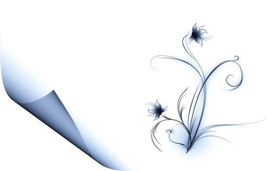 Abstract background from flower on a white background