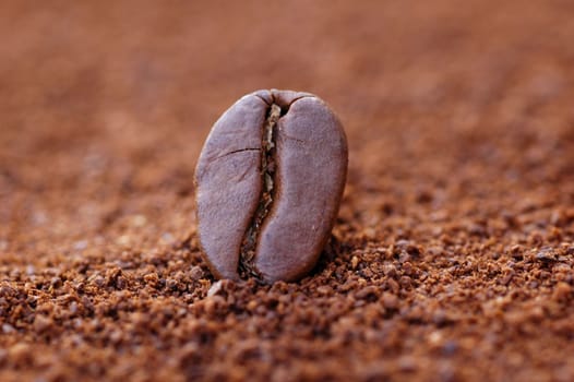 One Coffee bean in the centre