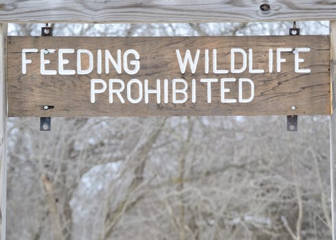 A sign saying no feeding wildlife in a nature park.