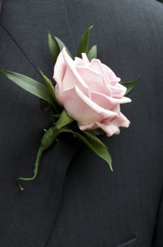 A rose button hole flower for a wedding