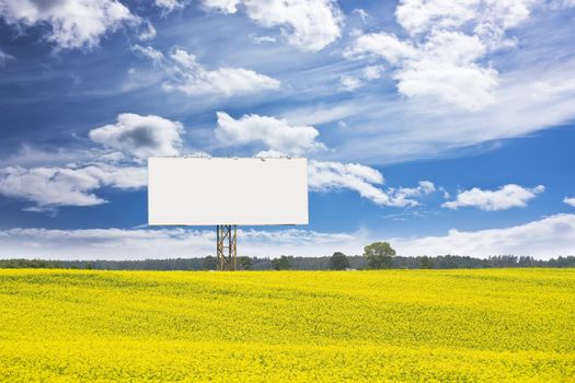 billboard in rapeseed field