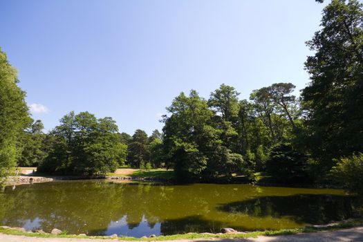 lake in summer park
