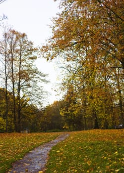 Autumn Park