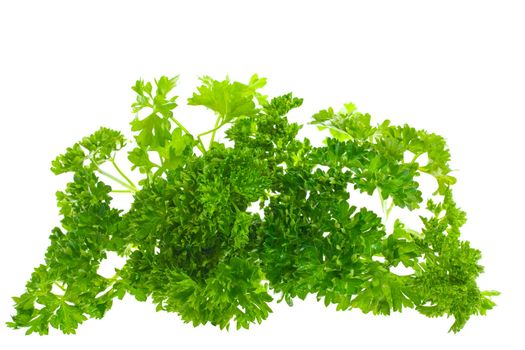 parsley, isolated