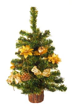 Christmas tree, isolated