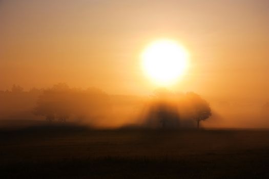Dawn, rural landscape