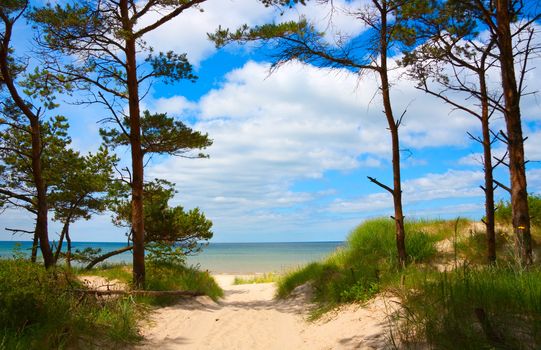 walkway to the sea