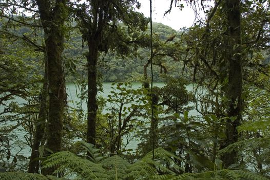 Cerro Chato. Location: The Arenal volcano and the city La Fortuna in Costa Rica, Central America.