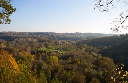 autumn forest view from above