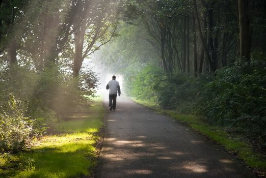 Middle aged man jogging on early summer morning in park - horizontal image