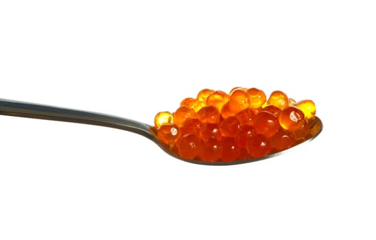 spoon caviar isolated
