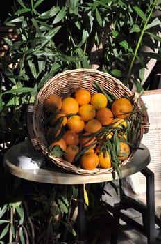 oranges on a wicker basket in Greece