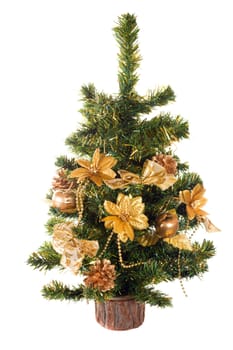 Christmas tree, isolated