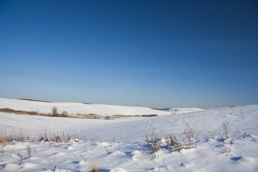 winter landscape