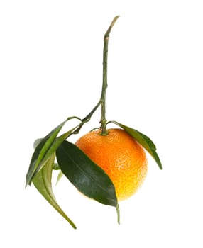 mandarin orange with leaves, isolated