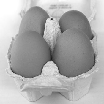 Four eggs in a cardboard wrap box