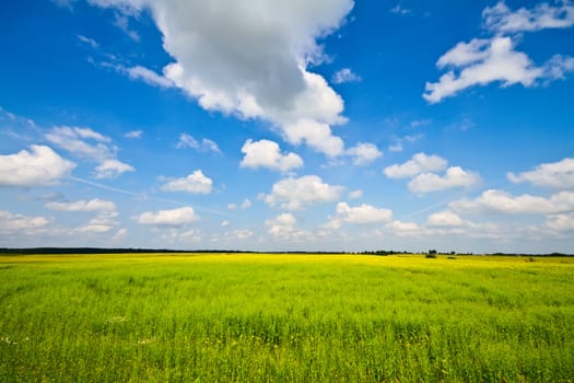 summer landscape