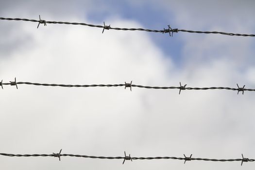 Barbed wires sky