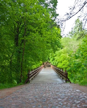 bridge in the park