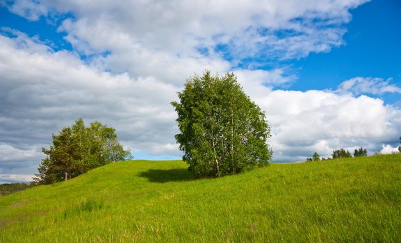 summer landscape