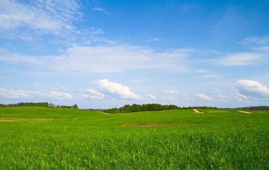 summer landscape