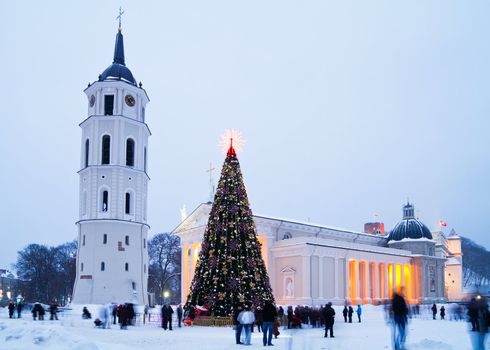 Christmas tree in Vilnius