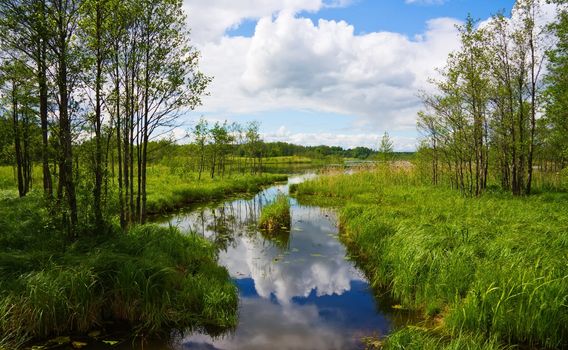 summer lake