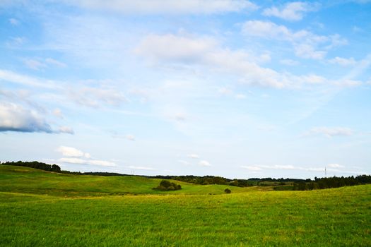 summer landscape